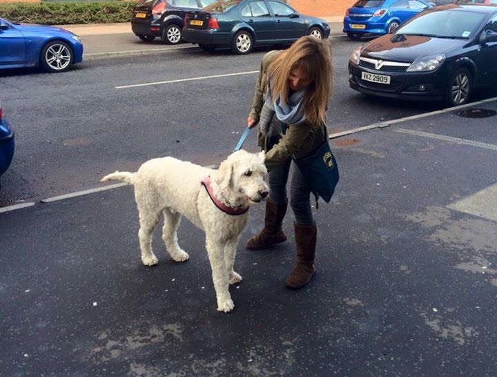 Some Pup cover image