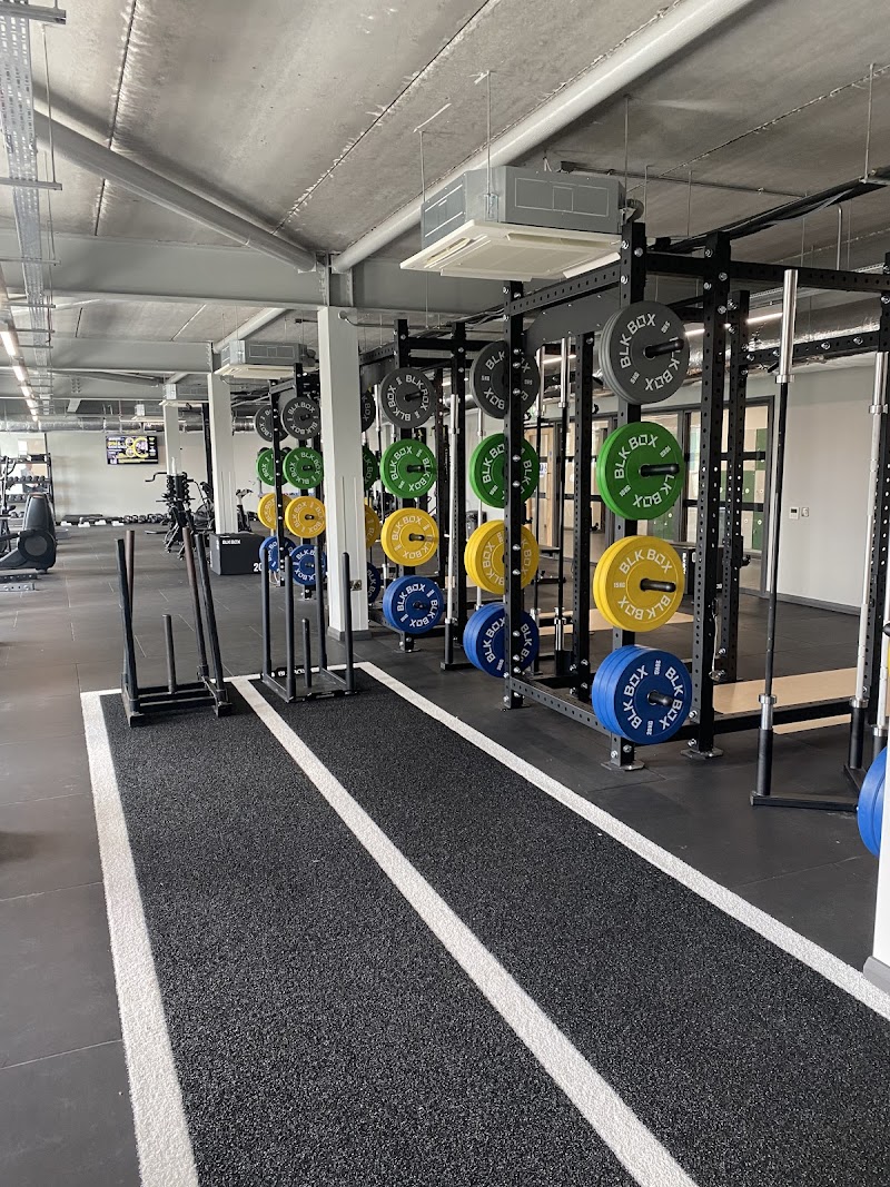 Physio Performance cover image