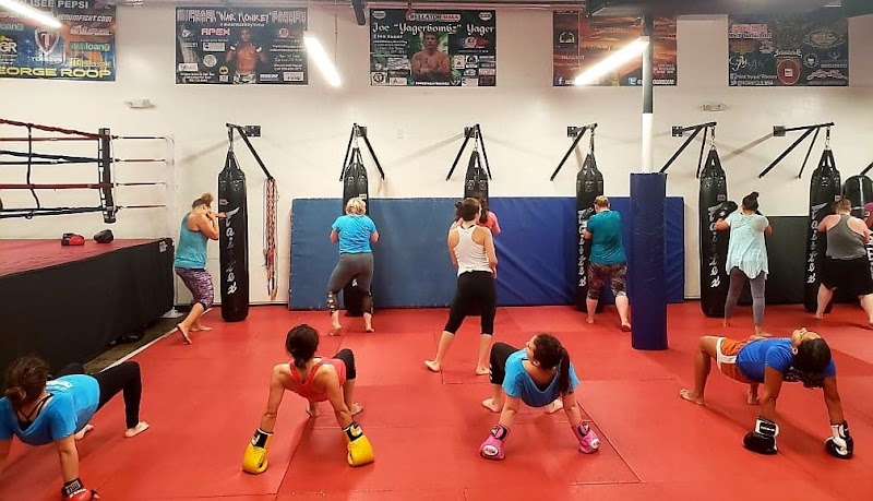 Apex Mixed Martial Arts cover image