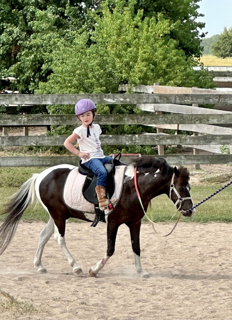 Freeman Ranch & Stables cover image