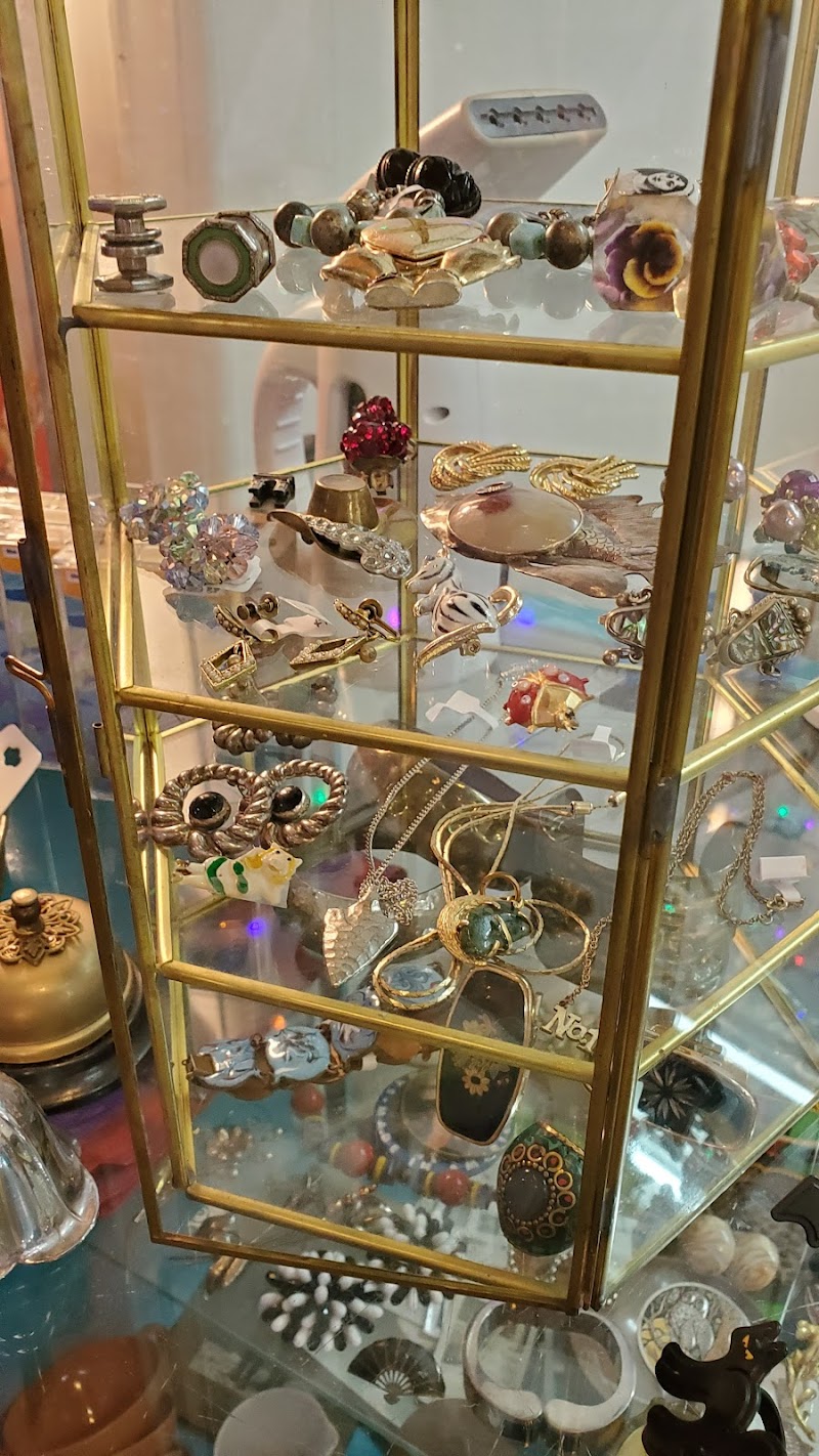 The Fashion Time Machine cover image