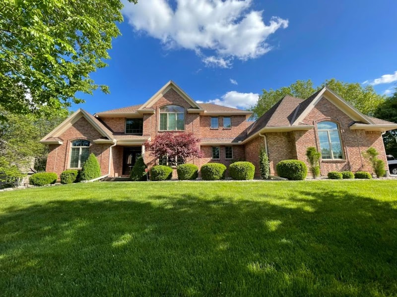 Painters Pro cover image