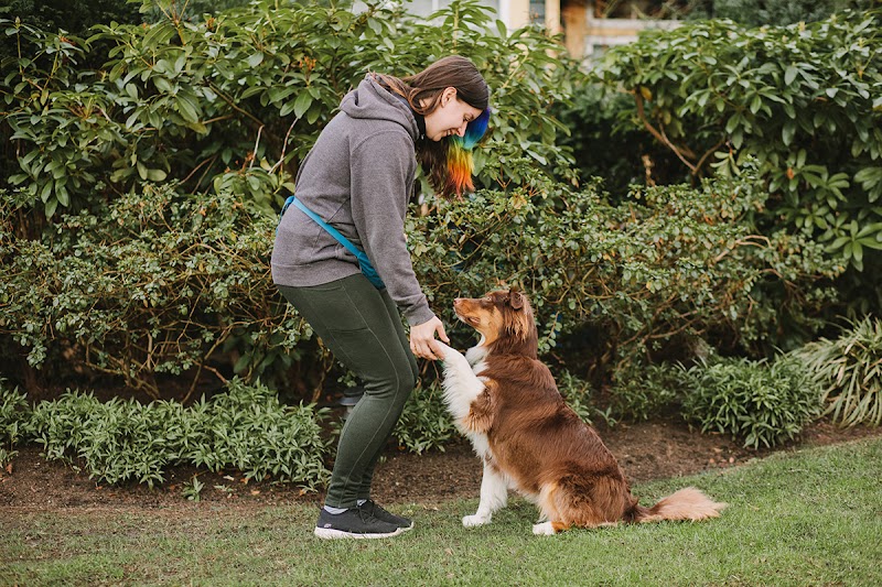 Noelle's Pet Love cover image
