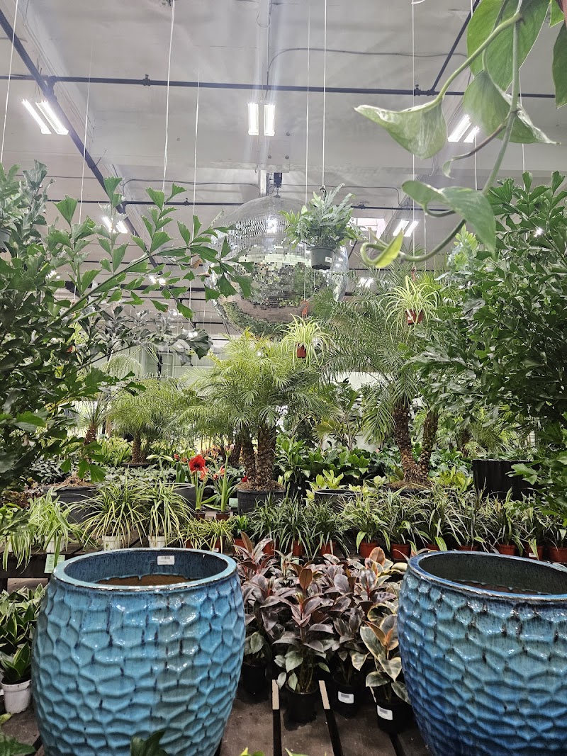 Terra Bella Nursery cover image