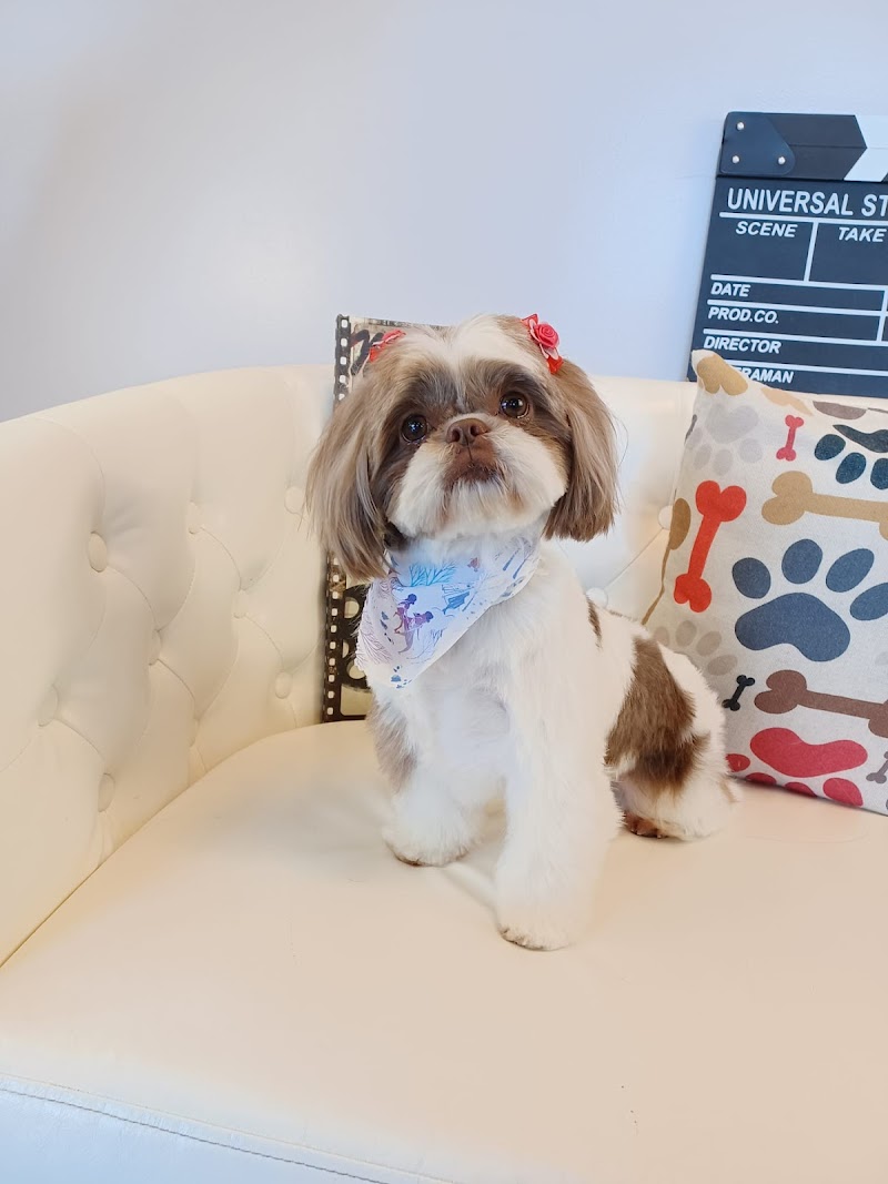 Art of Pet Grooming cover image