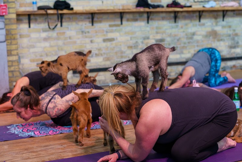 MKE Yoga Social cover image