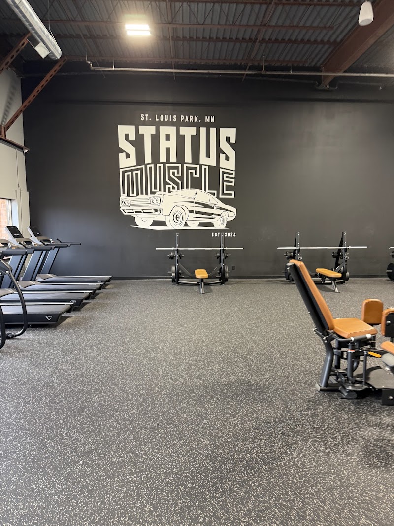 Status Strength and Fitness cover image