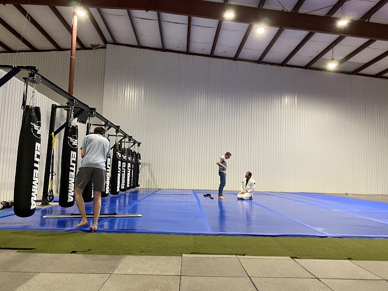 Elite Mixed Martial Arts - Memorial/Spring Valley cover image