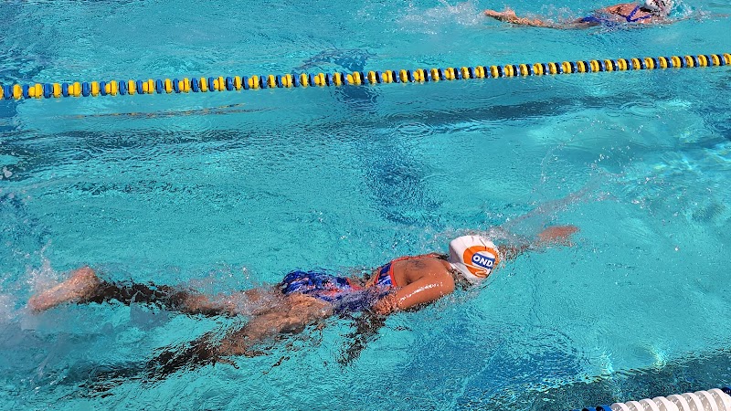 Oakland Undercurrent Swim Team cover image