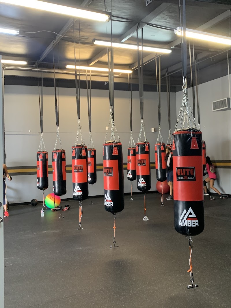 EADO Boxing Club cover image