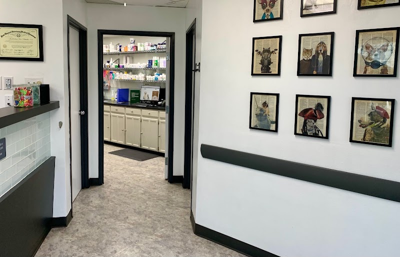 Plano Animal Clinic cover image