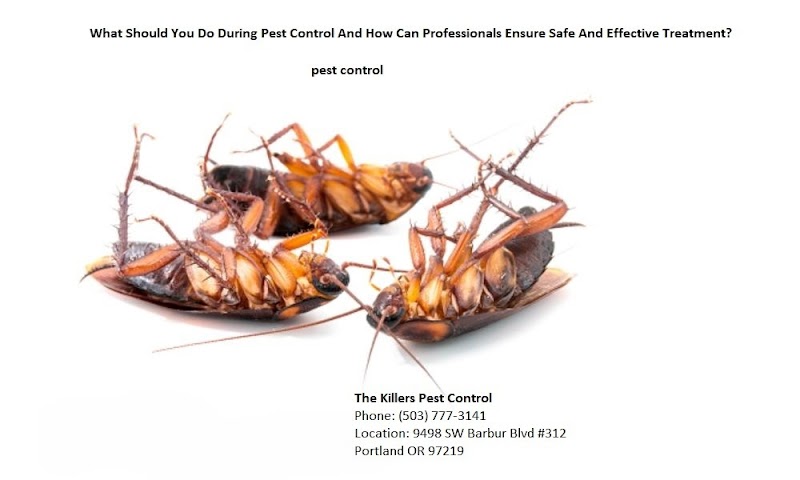The Killers Pest Control cover image