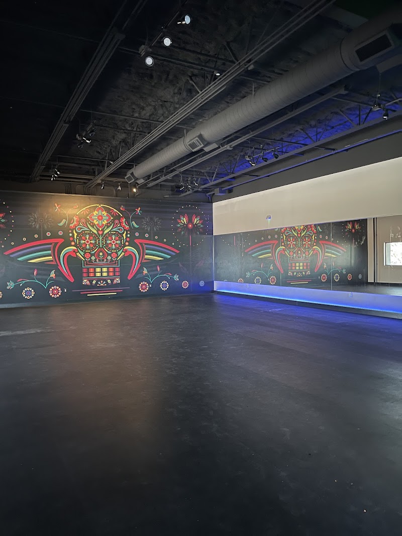 Black Swan Yoga San Antonio - Downtown cover image