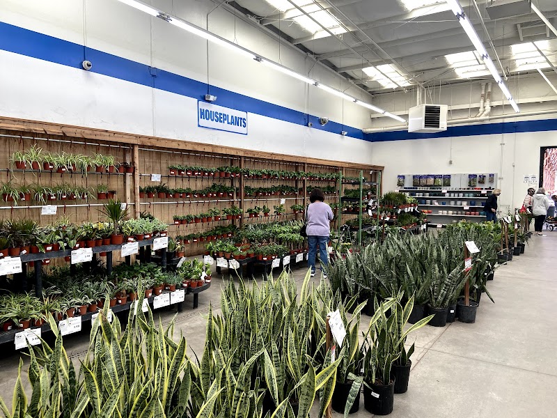 Star Nursery Garden Center cover image