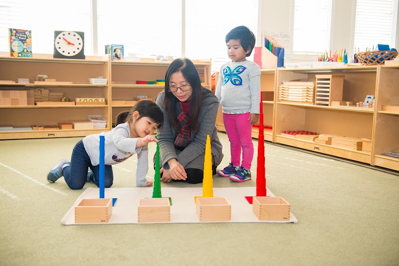 Evergreen Montessori Preschool cover image