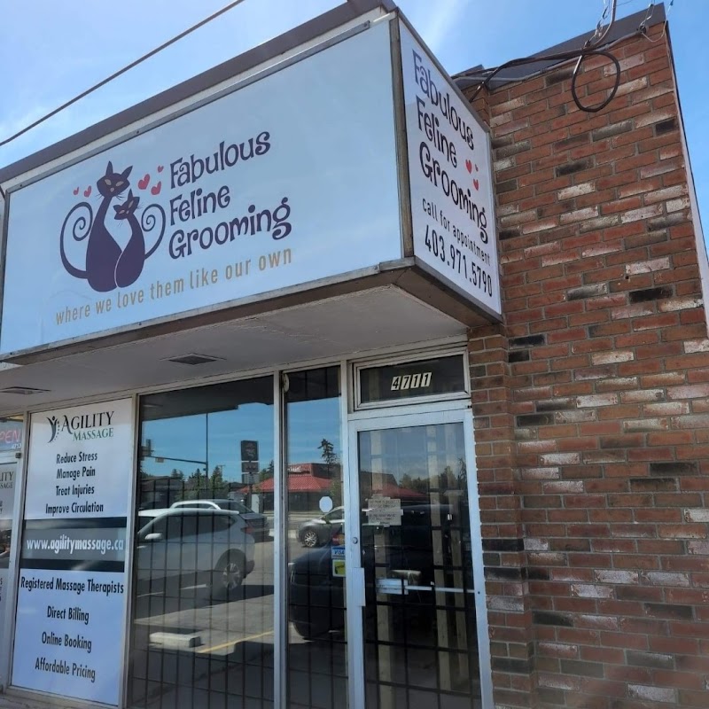 Fabulous Feline Grooming cover image