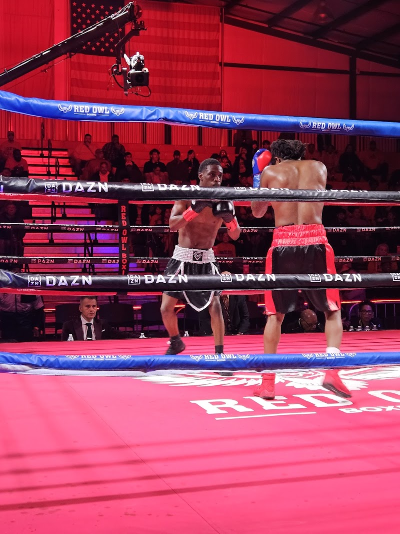 Red Owl Boxing - The Owl's Nest cover image