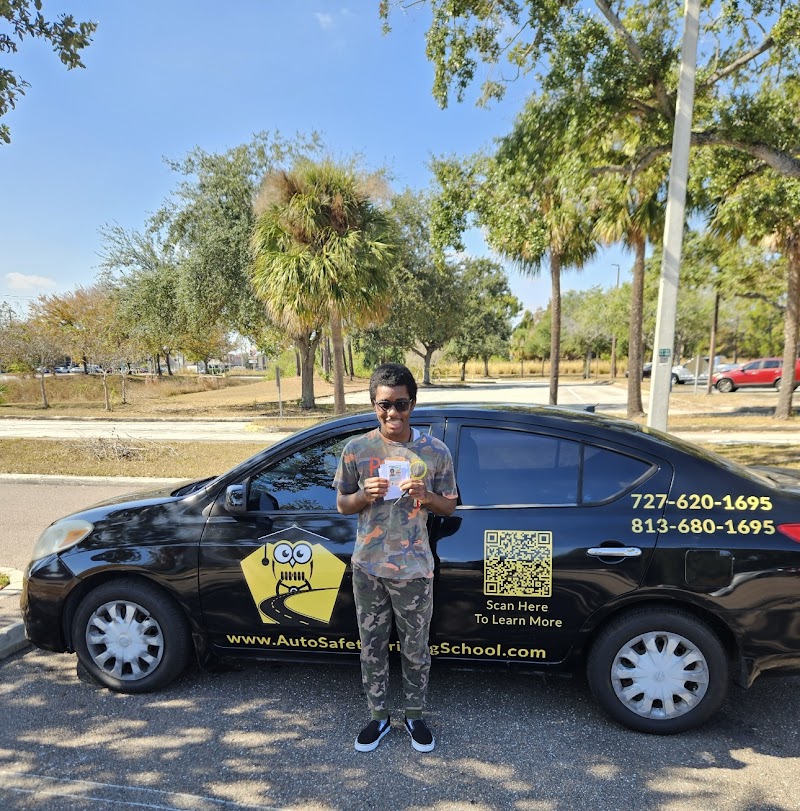 Auto Safety Driving School cover image