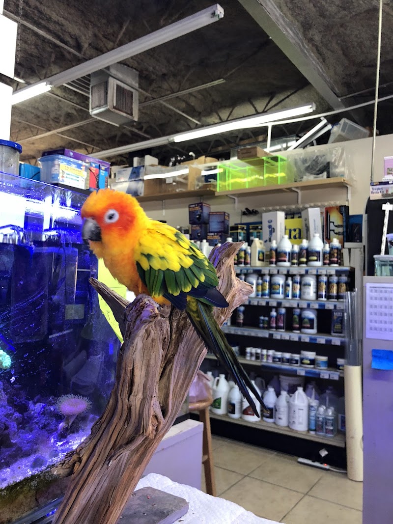 Fish Paradise, LLC cover image