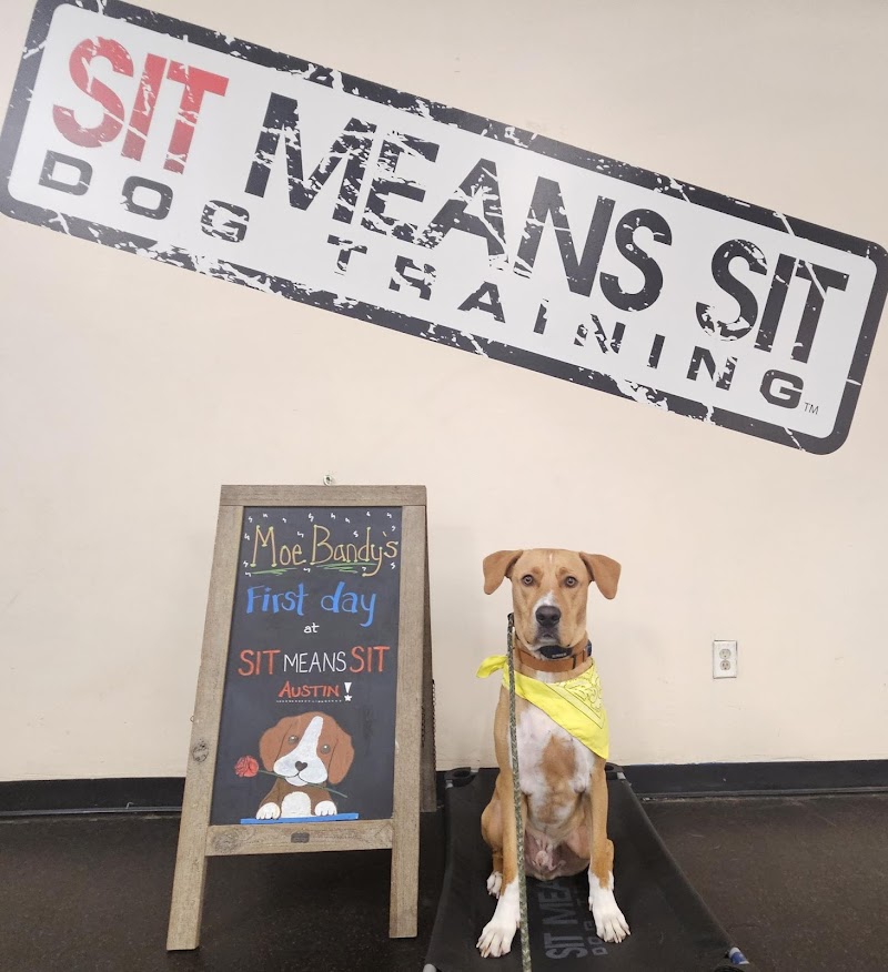 Sit Means Sit South Austin cover image