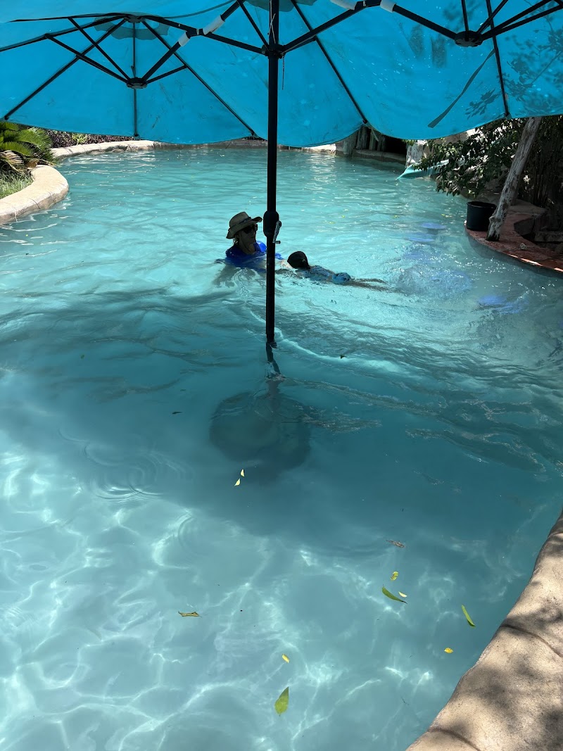 Ms. Cathy Swim Austin - Learn to Swim in 5 cover image