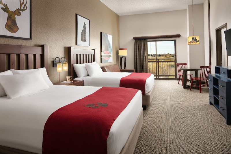 Great Wolf Lodge | Grapevine cover image