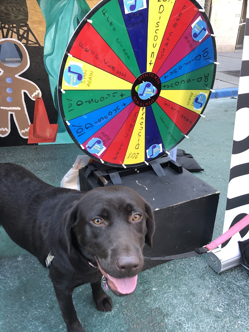 A Sound Start cover image