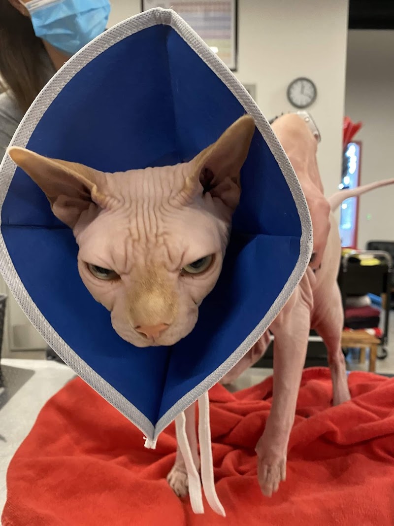 Veterinary Emergency Group cover image