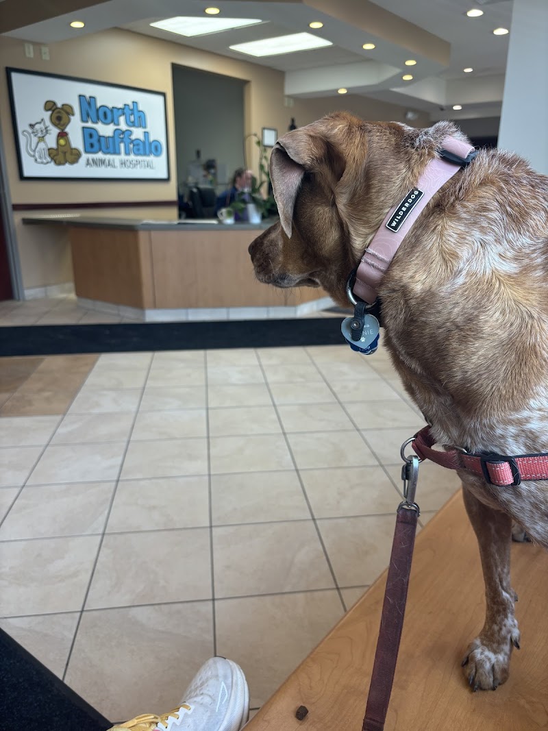 North Buffalo Animal Hospital cover