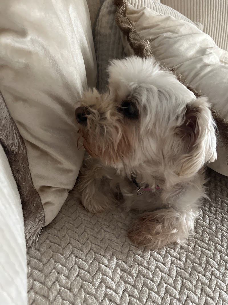 Long Beach Animal Urgent Care cover image