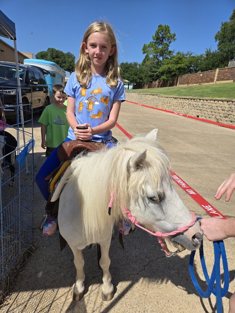 Colleyville Summer Camp cover image