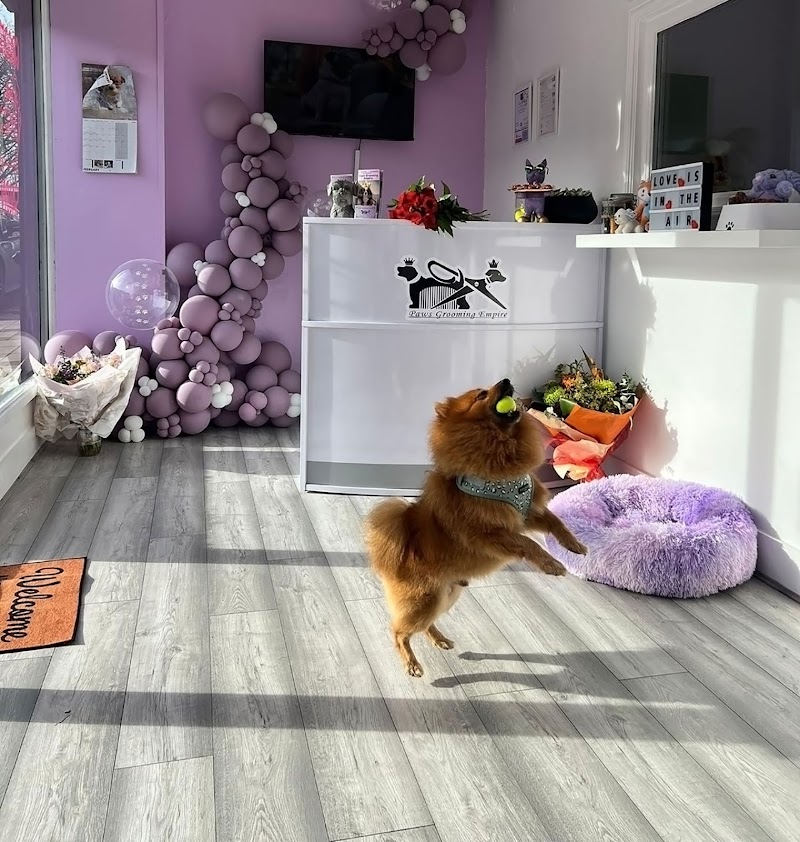 Paws Grooming Empire | Dog & Cat Grooming | Dog Walking | Doggy Day Care | Finchley, London cover image