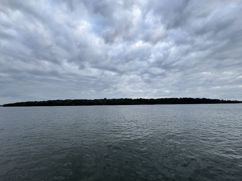 Rowdy's Wild Rides cover image