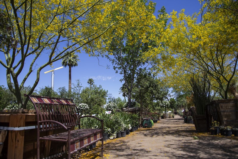 Whitfill Nursery cover image