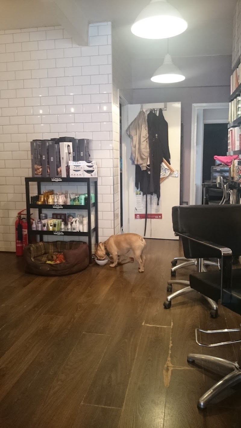 Hazel & Haydn Hairdressing cover image