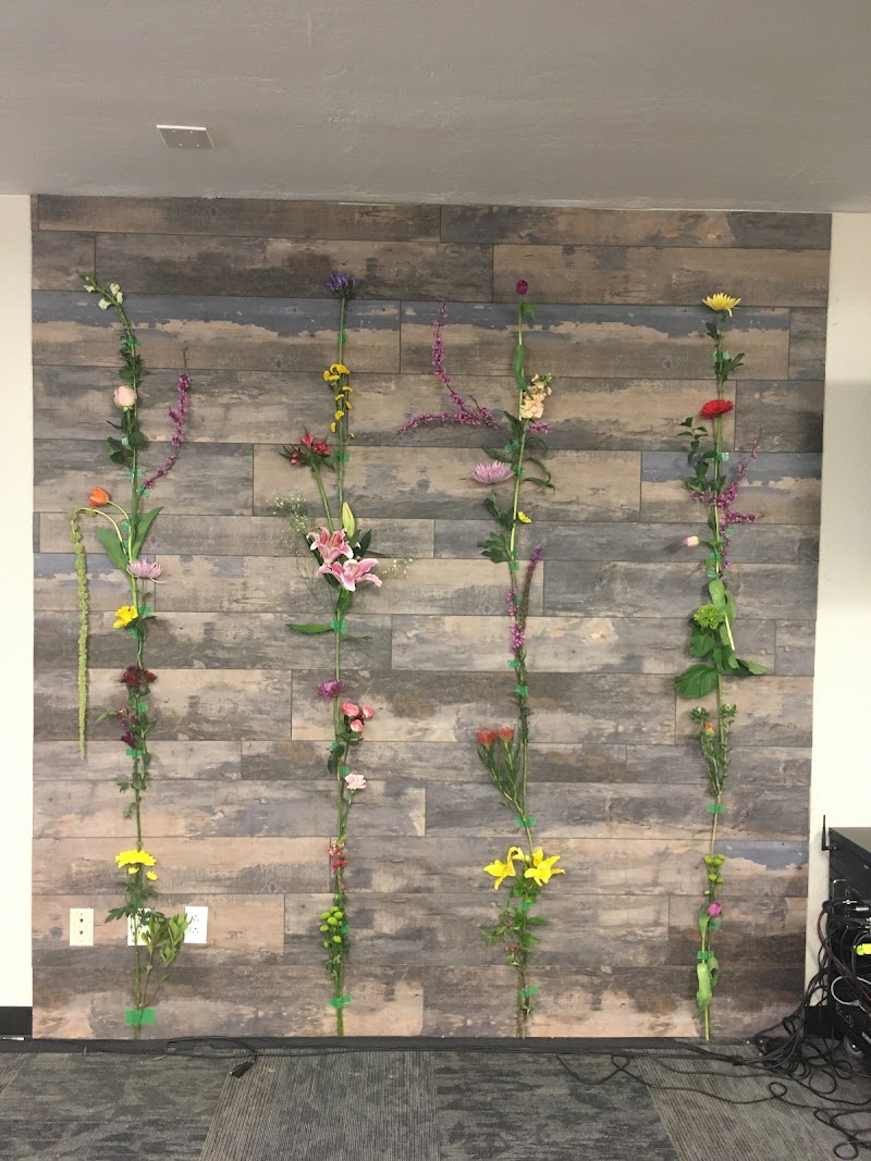 Mustard Seed Flowers cover image