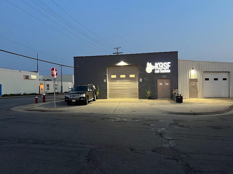 K9SF Dog Training cover image