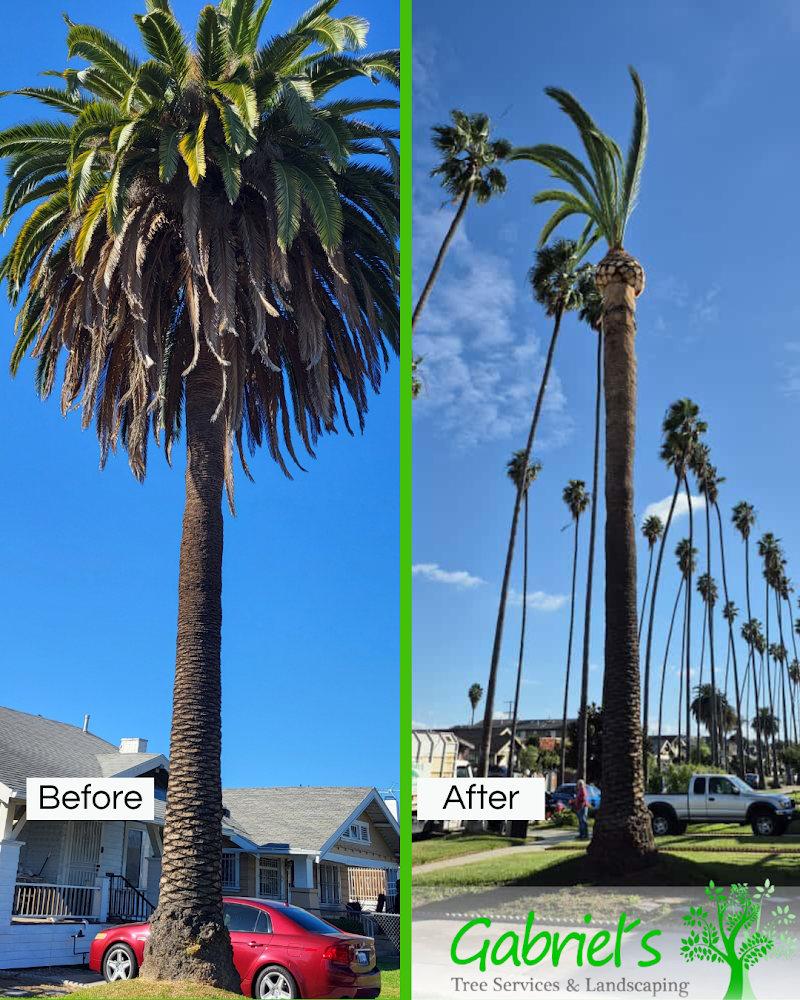 Gabriel´s Tree Service And Landscaping cover image