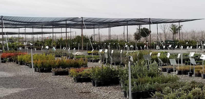 Riverside Nursery and Landscape cover image