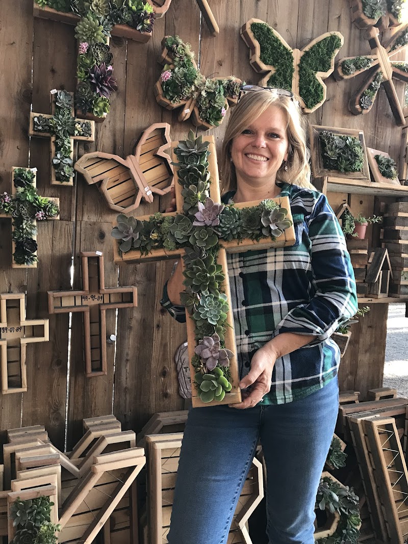 Kileen's Garden & Succulent Boutique cover image