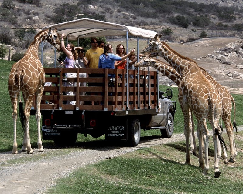 San Diego Zoo cover image
