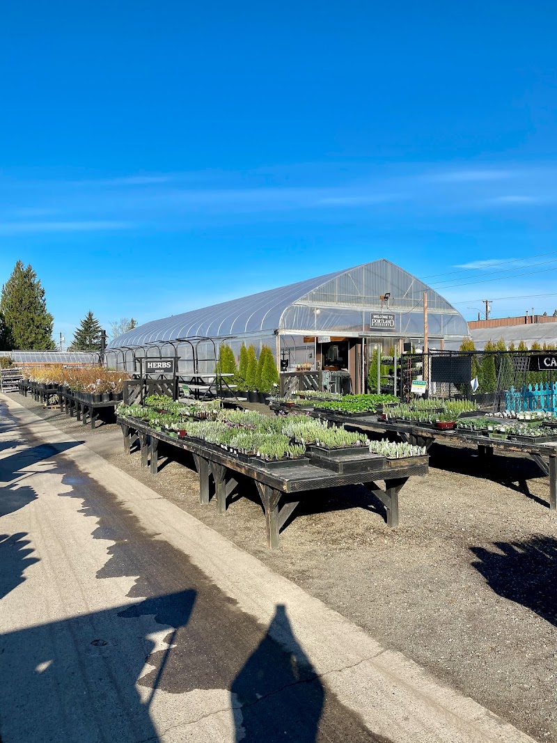 Portland Nursery cover image