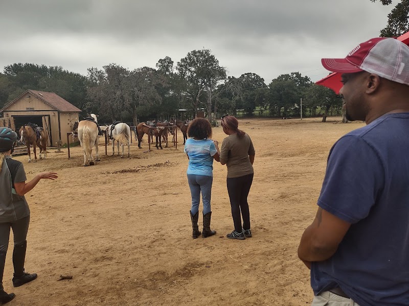 Marshall Creek Ranch cover image