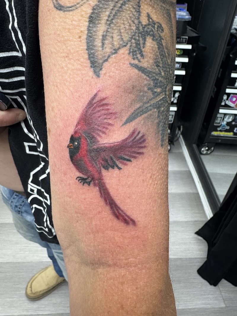 Irving Ink Tattoo & Piercing Studio cover image