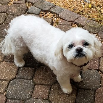 Furside Pet Grooming cover image