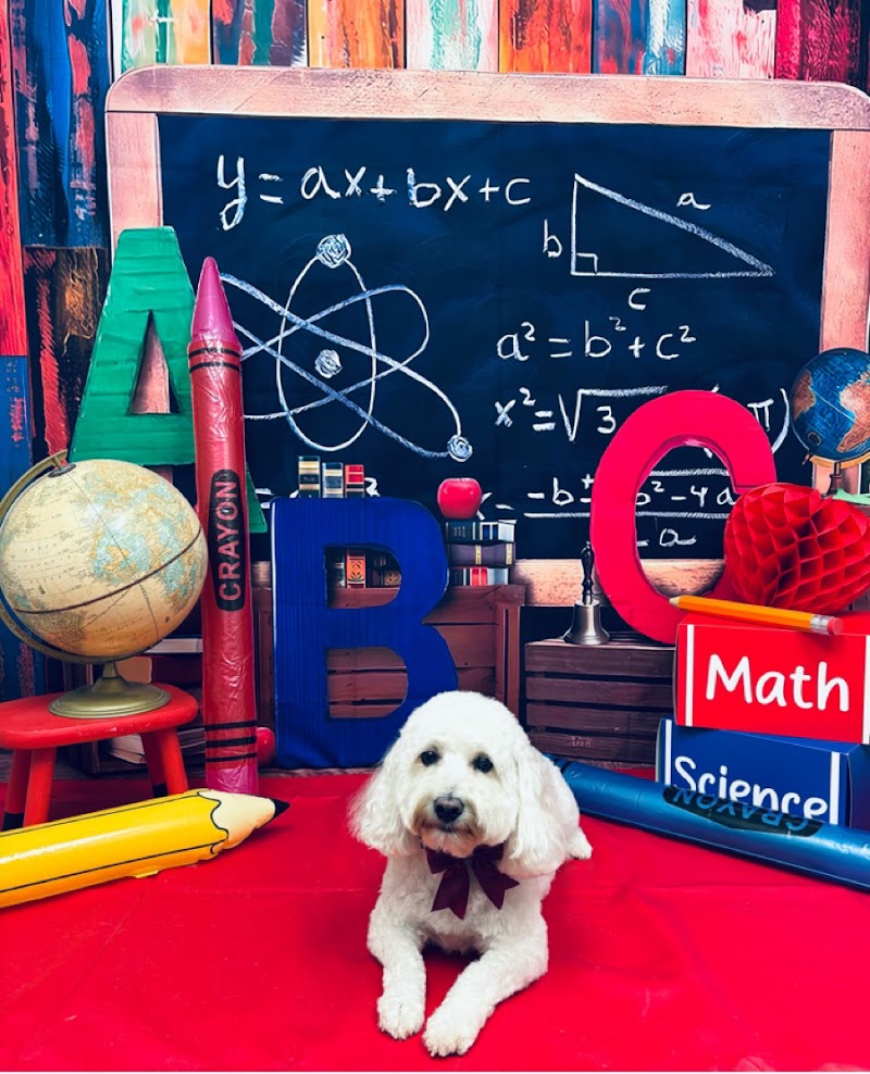 Temple of the Dog Grooming Salon LLC cover image