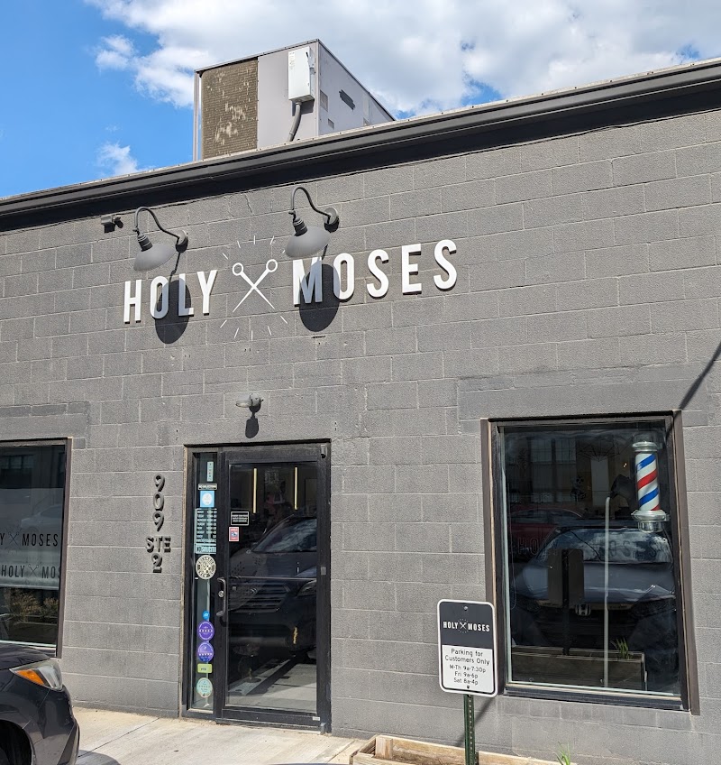 Holy Moses cover image