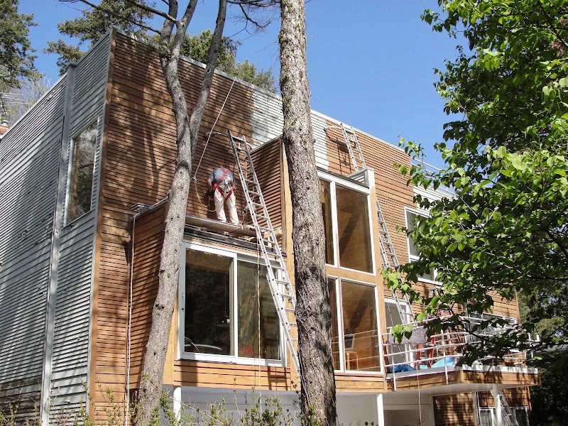 Painting By Jerry Wind cover image