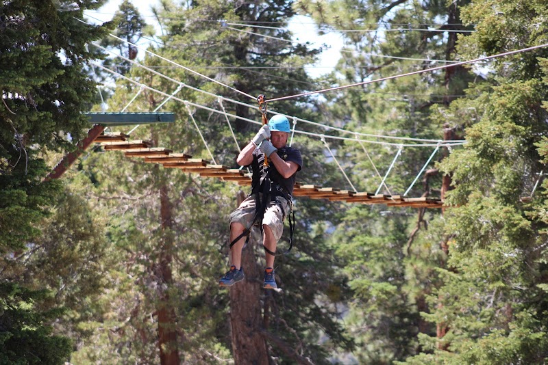 Action Zipline Tours cover image