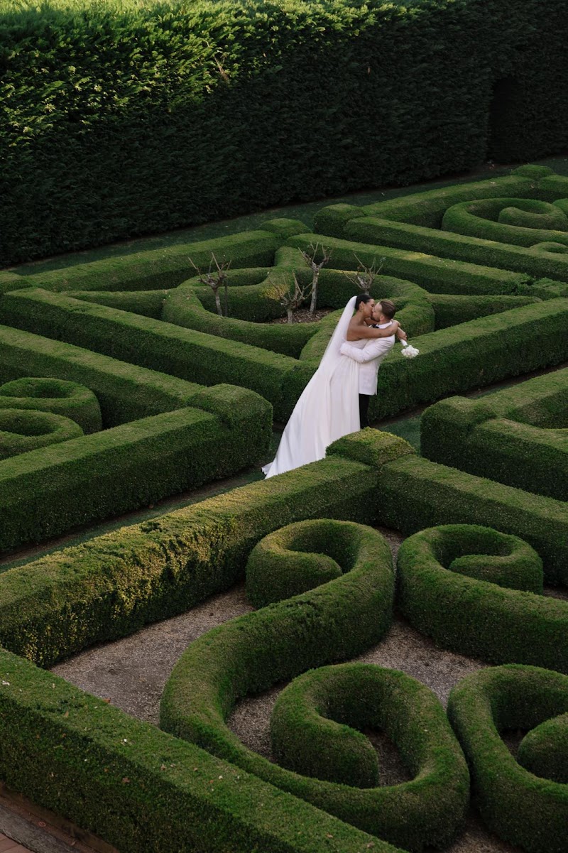 Lauren Anne Photography cover image